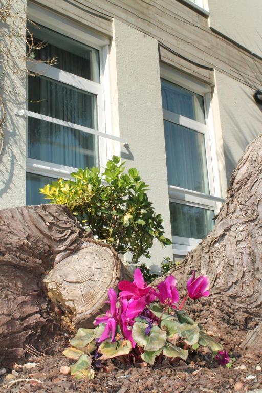 Loop Inn Hotel سانتياغو دي كومبوستيلا المظهر الخارجي الصورة